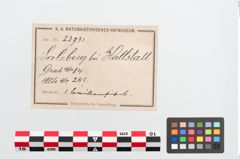 Etiketten zu Bronzebrillenfibel (NHMW-PRAE-023931)